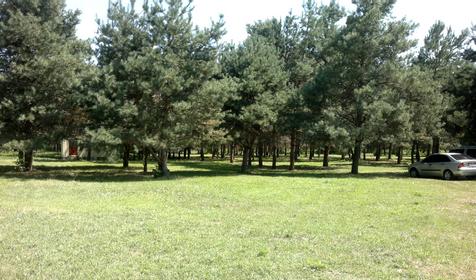 Рыболовный кемпинг Сосновый бор, Белореченский район, с. Новоалексеевское