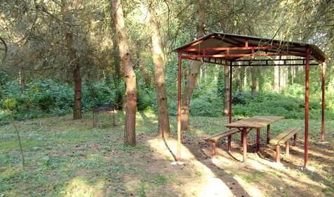 Рыболовный кемпинг Сосновый бор, Белореченский район, с. Новоалексеевское