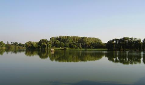 Рыболовный кемпинг Сосновый бор, Белореченский район, с. Новоалексеевское