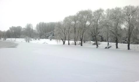 Рыболовный кемпинг Сосновый бор, Белореченский район, с. Новоалексеевское