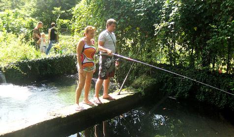 Гостевой дом Авокадо, г. Сочи, п. Вардане