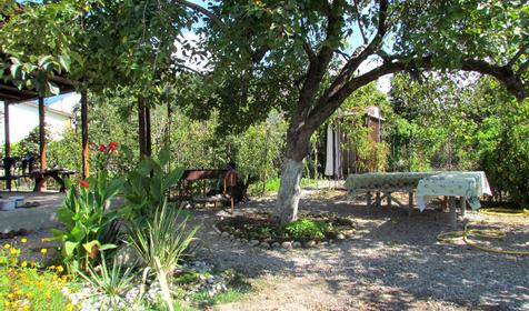 Гостевой дом Авокадо, г. Сочи, п. Вардане