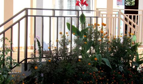 Гостевой дом Авокадо, г. Сочи, п. Вардане