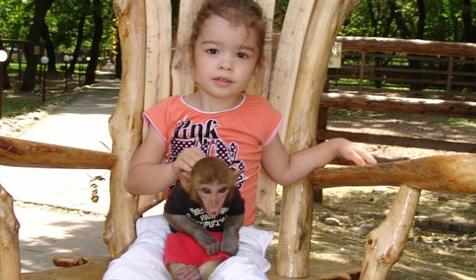 Галерея Сафари-парка, г. Краснодар, парк Солнечный остров