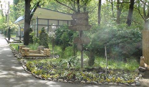 Галерея Сафари-парка, г. Краснодар, парк Солнечный остров