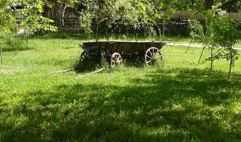 Галерея Сафари-парка, г. Краснодар, парк Солнечный остров