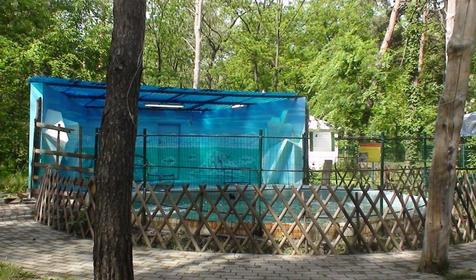 Галерея Сафари-парка, г. Краснодар, парк Солнечный остров