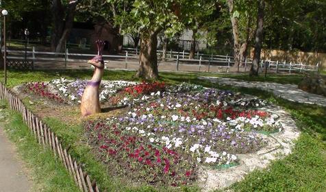 Галерея Сафари-парка, г. Краснодар, парк Солнечный остров