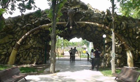 Галерея Сафари-парка, г. Краснодар, парк Солнечный остров