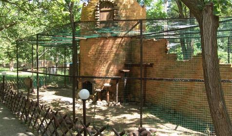 Галерея Сафари-парка, г. Краснодар, парк Солнечный остров