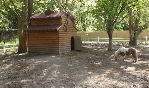 Галерея Сафари-парка, г. Краснодар, парк Солнечный остров