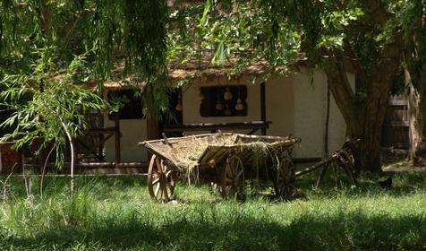 Галерея Сафари-парка, г. Краснодар, парк Солнечный остров