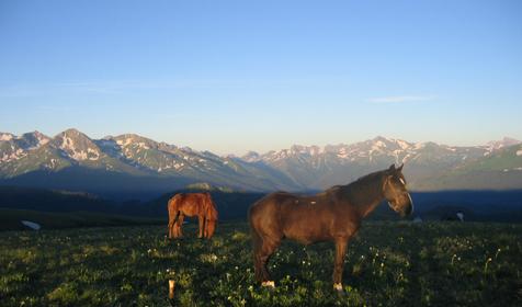 Поселок Псебай