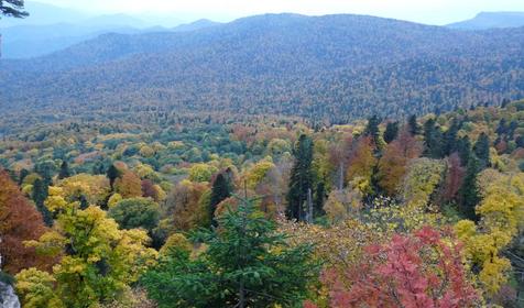 Коттедж Сосновая терраса, плато Лаго-Наки