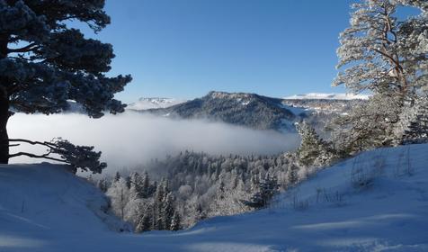 Коттедж Сосновая терраса, плато Лаго-Наки