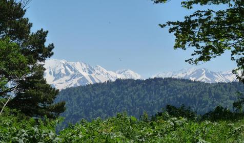 Коттедж Сосновая терраса, плато Лаго-Наки