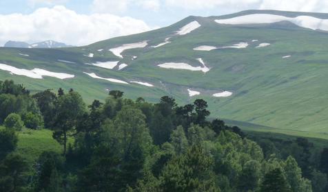 Коттедж Сосновая терраса, плато Лаго-Наки