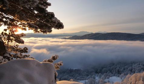 Коттедж Сосновая терраса, плато Лаго-Наки