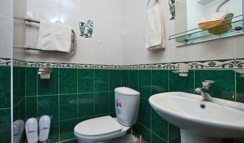 Санузел номера. Отель Арина Лоо, г. Сочи, Лазаревский район, п. Лоо