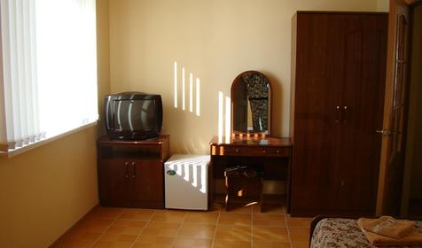 Номер люкс без балкона. Гостевой дом Алиса, с. Криница