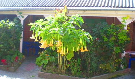 Гостиница Астери, п. Кучугуры