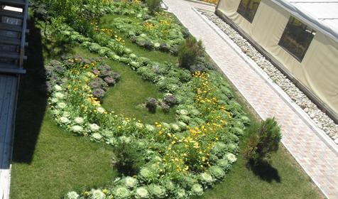 Территория. ЭКОдеревня Цветочное море, Апшеронский район, х. Николаенко