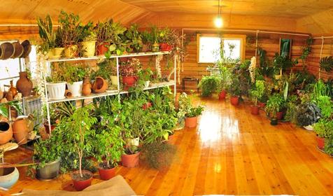 Зимний сад. ЭКОдеревня Цветочное море, Апшеронский район, х. Николаенко