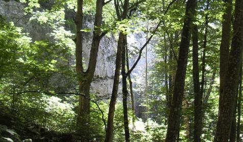 Территория Апшеронского района