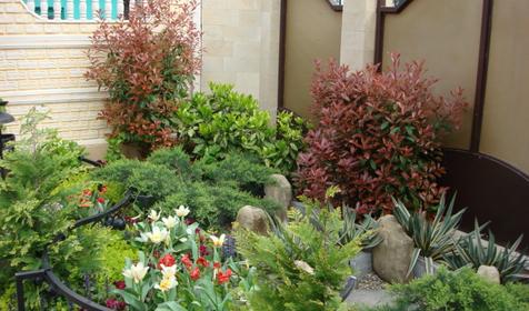 Гостевой дом Кипарис, г. Геленджик