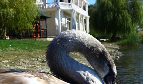 Гостинично-ресторанный комплекс Посейдон, г. Горячий Ключ