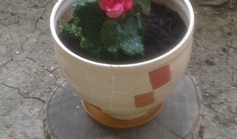 Невский. Гостевой дом. Ейск