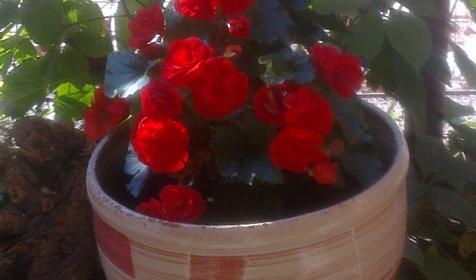 Невский. Гостевой дом. Ейск