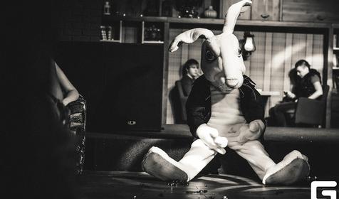 Гастропаб Белый кролик, г. Краснодар