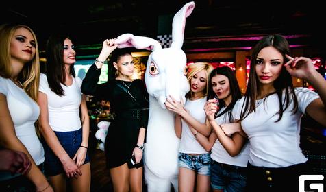 Гастропаб Белый кролик, г. Краснодар