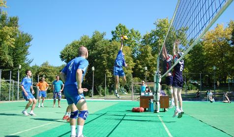 Услуги и сервис. Пансионат Химик, Туапсинский район, п. Новомихайловский