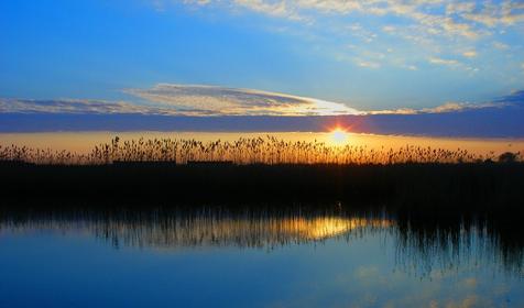 Лотосы. Приморско-Ахтарский район