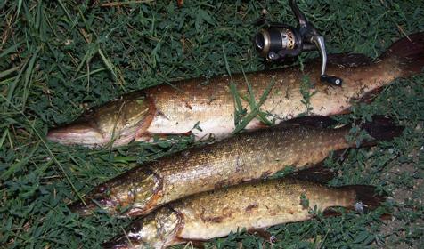 Рыбалка. Приморско-Ахтарский район