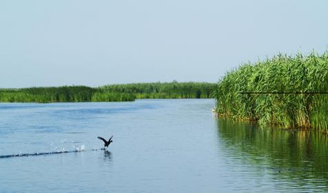 Сезон охоты. Приморско-Ахтарский район