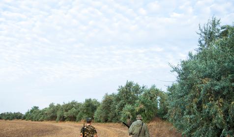 Сезон охоты. Приморско-Ахтарский район