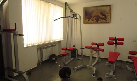 Тренажерный зал. Гостевой дом Звезда Кавказа, г. Сочи, п. Лоо