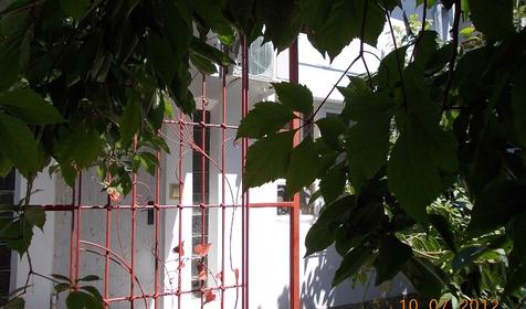 Апартаменты. Гостевой Дом на Революционной, 27/1, г. Геленджик