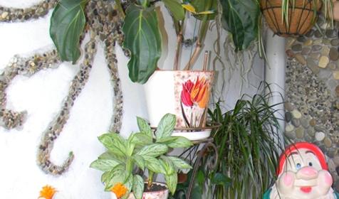 Гостевой дом Бриз, г. Сочи, п. Лазаревское