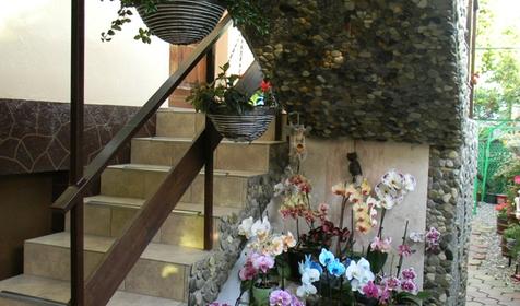 Гостевой дом Бриз, г. Сочи, п. Лазаревское