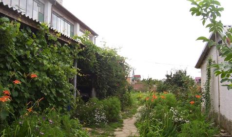 Территория. Частный пансионат Цветочная-25, Ткмрюкский район, ст-ца Голубицкая