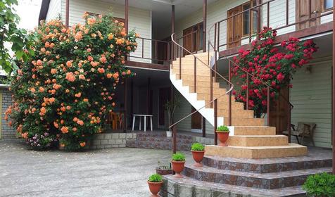 Чайка. Гостевой дом. Геленджик