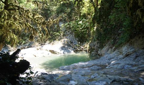 Гостевой дом "Лесная сказка". Сочи. Лоо