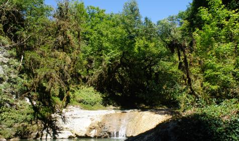 Гостевой дом "Лесная сказка". Сочи. Лоо