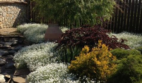 Гостевой дом Бугазская коса, Темрюкский район, п. Веселовка