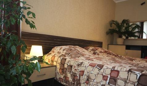 Номер с видом на сосновый бор. Novikoff Hotel, г. Сочи, п. Лазаревское