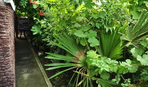 Гостевой дом Лазурный берег, Лазаревский р-он, п. Аше